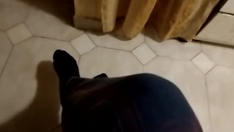 dthedog12 online show from 10.27.25