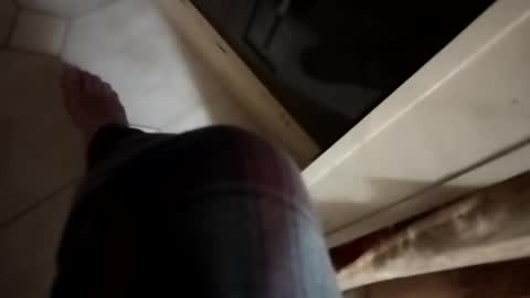 dthedog12 online show from 11.06.25