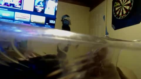 dtrain6969420 online show from 09.25.25