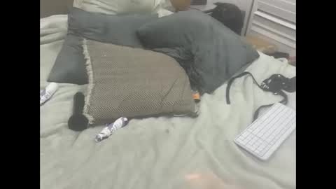 Snapshot of dudebrocuz69 chatting on 02.18.26 Dude online show from 02.18.26