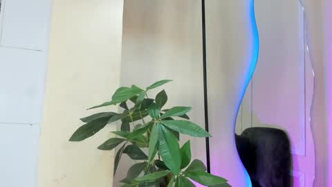 dulce__fiore07 online show from 12.21.25