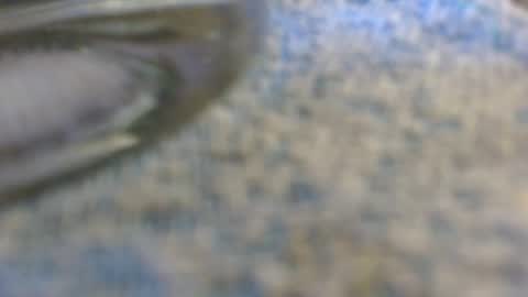 Snapshot of dunany101 chatting on 11.02.25 dunany101 online show from 11.02.25