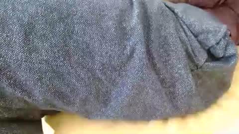 dunany101 online show from 03.11.26