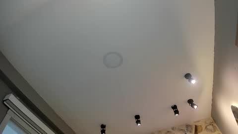 Snapshot of duskybeautyy chatting on 02.14.26 duskybeautyy online show from 02.14.26