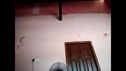 Snapshot of duskytamilkarthik chatting on 05.16.26 duskytamilkarthik online show from 05.16.26