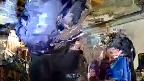 Dywrect online show from 02.15.26