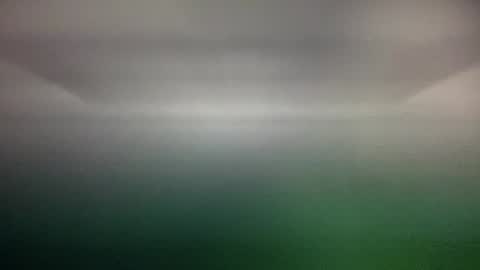 Nadia Ferreira  online show from 02.06.25