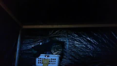 Snapshot of ebear1 chatting on 02.27.25 ebear1 online show from 02.27.25