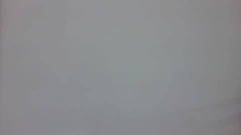 Ecita online show from 01.23.25