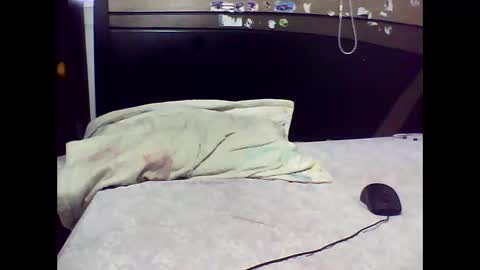 Snapshot of ed_big_cock chatting on 11.02.25 Edd Gallego online show from 11.02.25