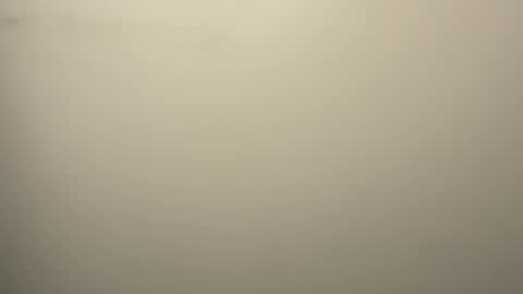 Eddy online show from 02.12.26