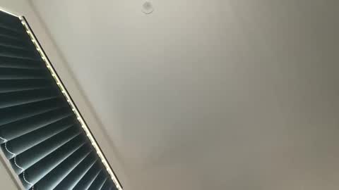 edgemycock4u online show from 02.08.25