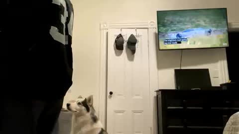 edvmendez1766 online show from 10.27.25