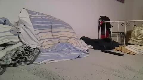 EdM online show from 02.12.26