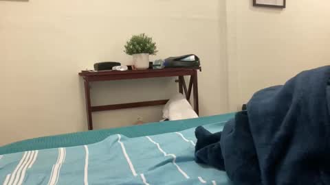 eel184 online show from 03.10.26