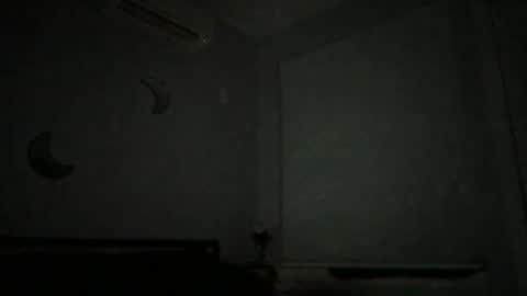 Snapshot of eerriicc2022 chatting on 12.16.24 eerriicc2022 online show from 12.16.24