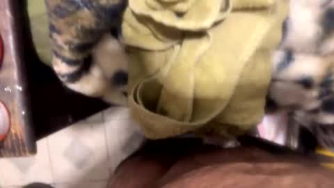 ehdgher online show from 05.01.26