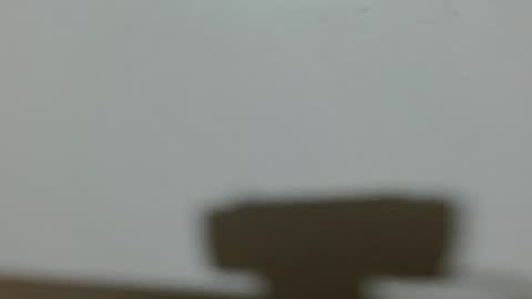 ela_3611 online show from 02.04.25