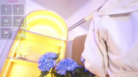 Elasummeer online show from 11.14.25