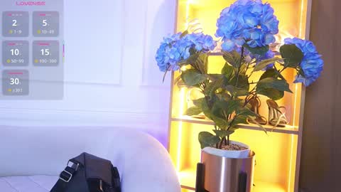 Elasummeer online show from 12.02.25