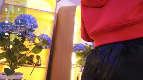 Elasummeer online show from 01.12.26