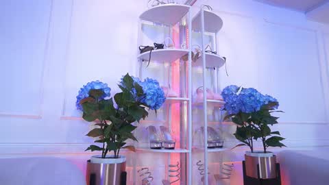 Elasummeer online show from 02.13.26