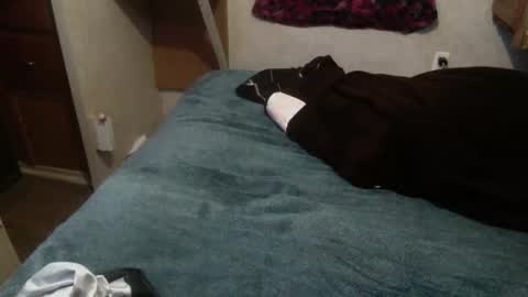 Snapshot of elegantdeviance69 chatting on 12.19.24 ElegantDeviance69 online show from 12.19.24