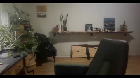 Snapshot of elephantfox chatting on 03.02.25 fox online show from 03.02.25