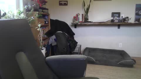 fox online show from 02.22.26