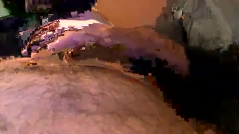 Snapshot of elgato66699 chatting on 04.20.26 elgato66699 online show from 04.20.26