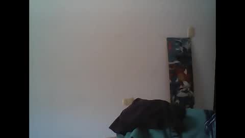 Rod online show from 11.02.25