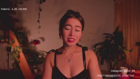 Snapshot of elizabethz chatting on 03.02.26 Tuli online show from 03.02.26