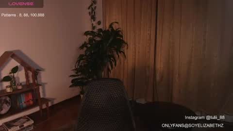 Snapshot of elizabethz chatting on 06.14.26 Tuli online show from 06.14.26