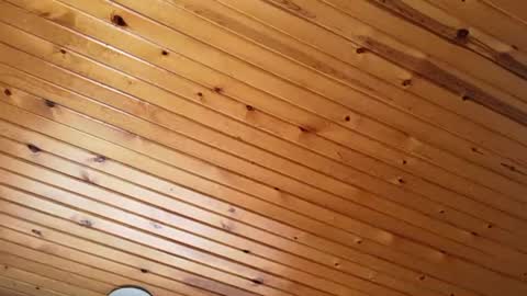 ellalowe online show from 03.22.26