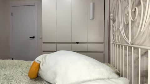 Rosa online show from 01.06.26