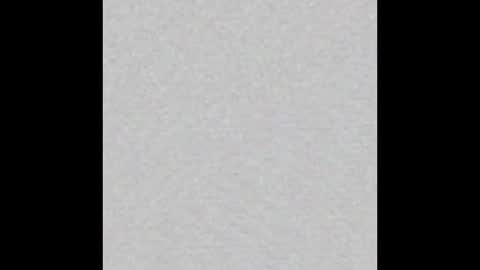 Ellie online show from 11.02.25