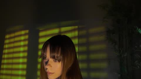 Snapshot of elly_fry chatting on 01.18.25 Art Place online show from 01.18.25