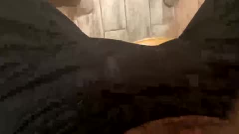 El Parador online show from 12.08.24