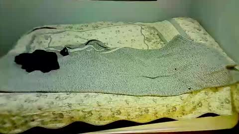 Elpouro online show from 03.07.26