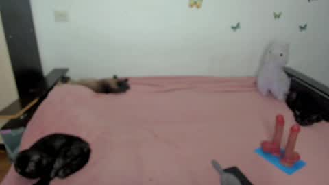 Snapshot of elsamails chatting on 05.01.26 Elsa online show from 05.01.26