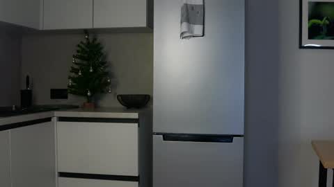 Snapshot of elvafoa chatting on 01.28.25 Sophie online show from 01.28.25