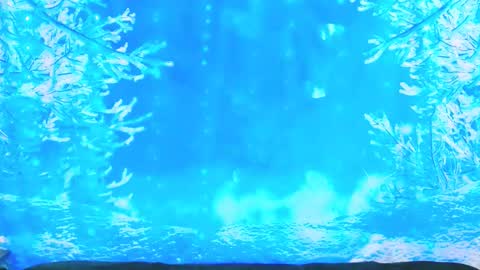 Ember Starleena online show from 01.19.26