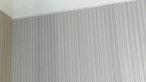 Snapshot of emelie_89 chatting on 04.21.26 emelie_89 online show from 04.21.26