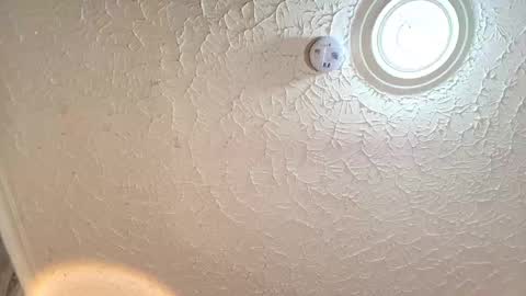 Emiily Carter online show from 09.29.25