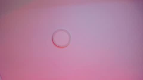   online show from 01.24.25