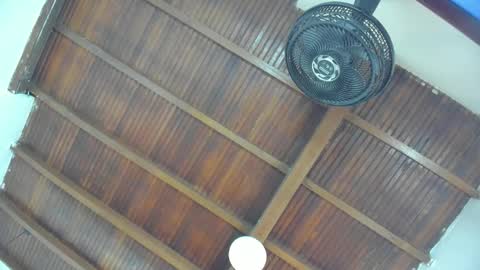 Emily  online show from 01.16.26