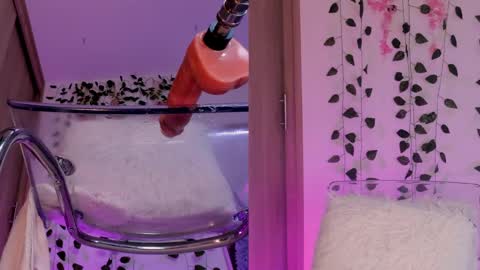 Emily online show from 01.11.25