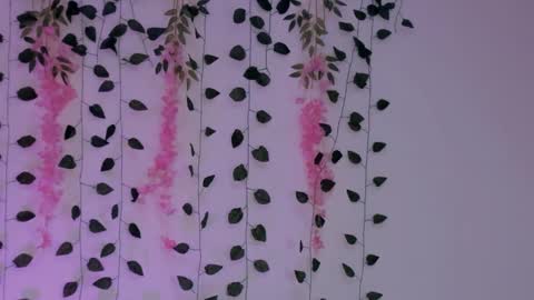 Emily online show from 01.30.25