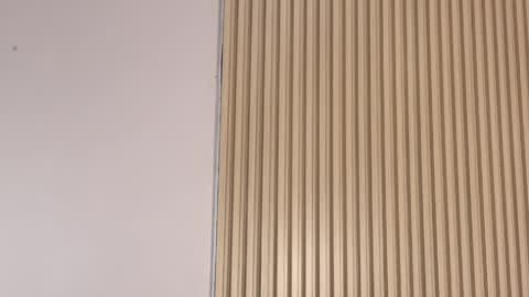 Emily online show from 04.03.26