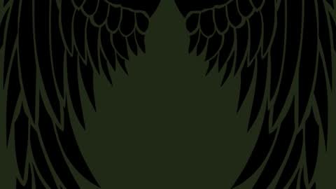 Emily  online show from 11.21.25